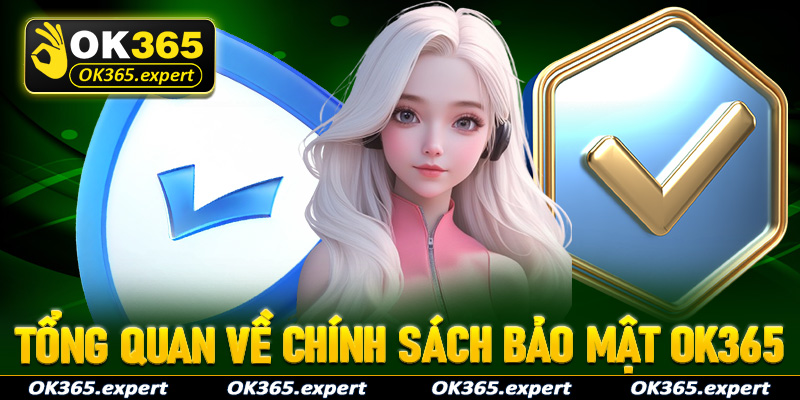Tổng quan về trang chính sách bảo mật tại OK365