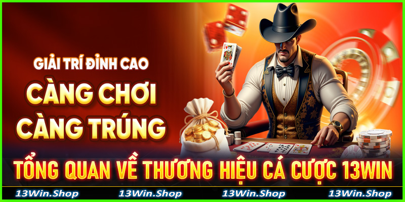 Tổng quan về thương hiệu cá cược 13win